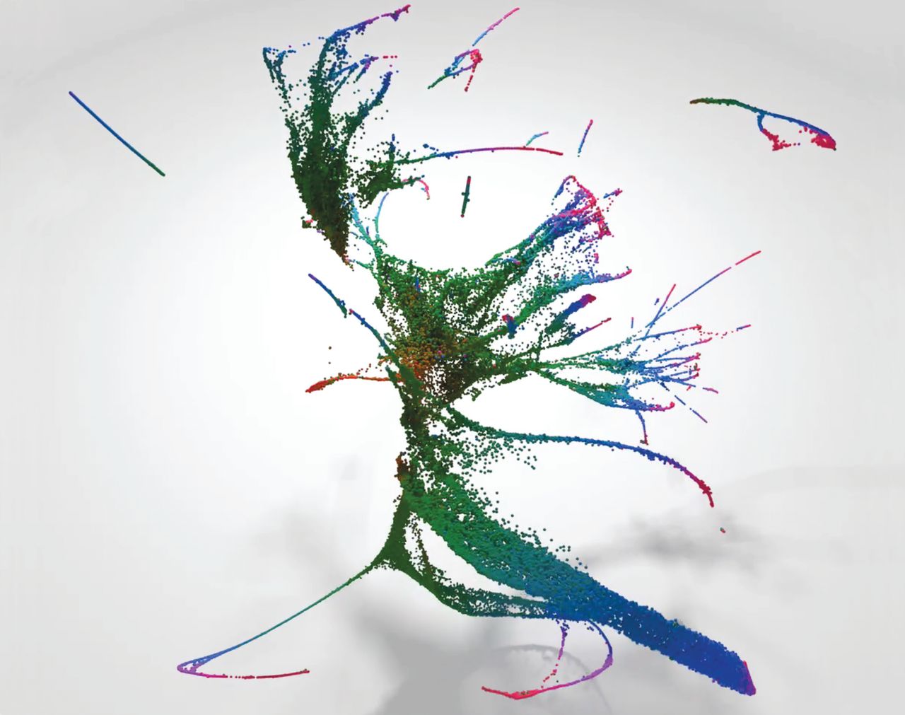 _images/c_elegans_3d.jpg