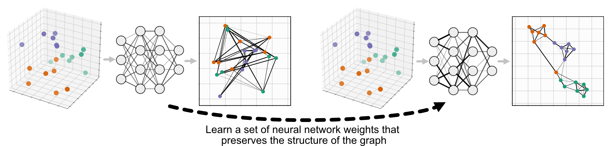 _images/pumap-only.png