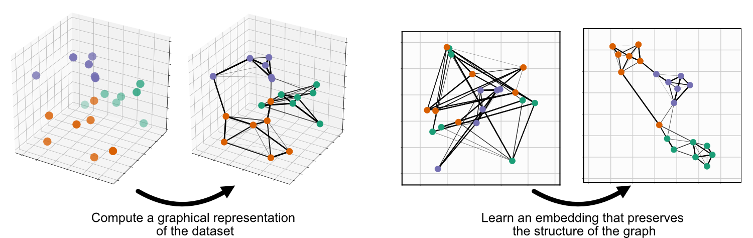 _images/umap-only.png